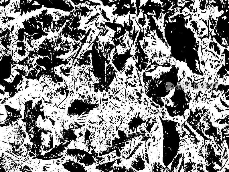 垃圾纹理-地面的叶子。黑色灰尘Scratchy Pattern。抽象的背景。矢量设计作品。变形的效果。裂缝。